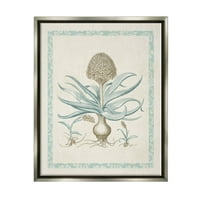 Ступел индустрии ботанически Латино проучване растение графично изкуство блясък сив плаваща рамка платно печат стена изкуство, дизайн от Вижън студио
