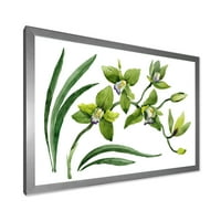 Дизайнарт 'Зелена Орхидея Цветя На Бяло' Традиционна Рамка Арт Принт